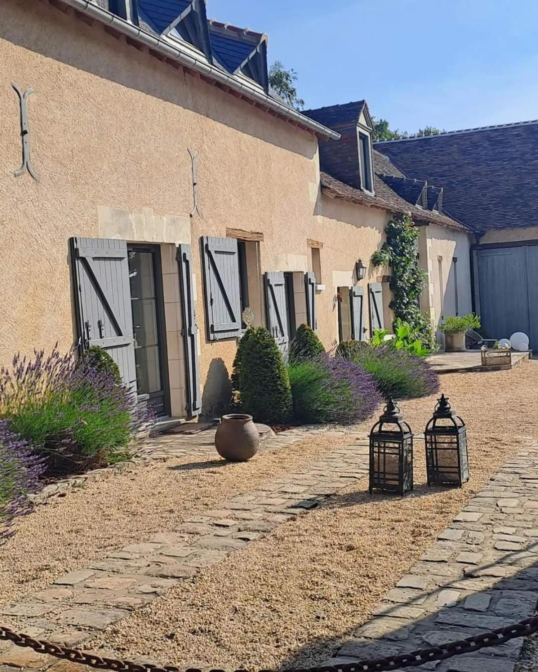 Hotel Domaine De La Limetiere Neuvy-le-Roi Esterno foto
